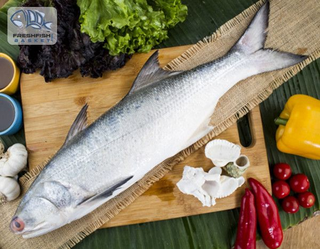 Illustration for article titled Reasons to Eat Salmon Fish: